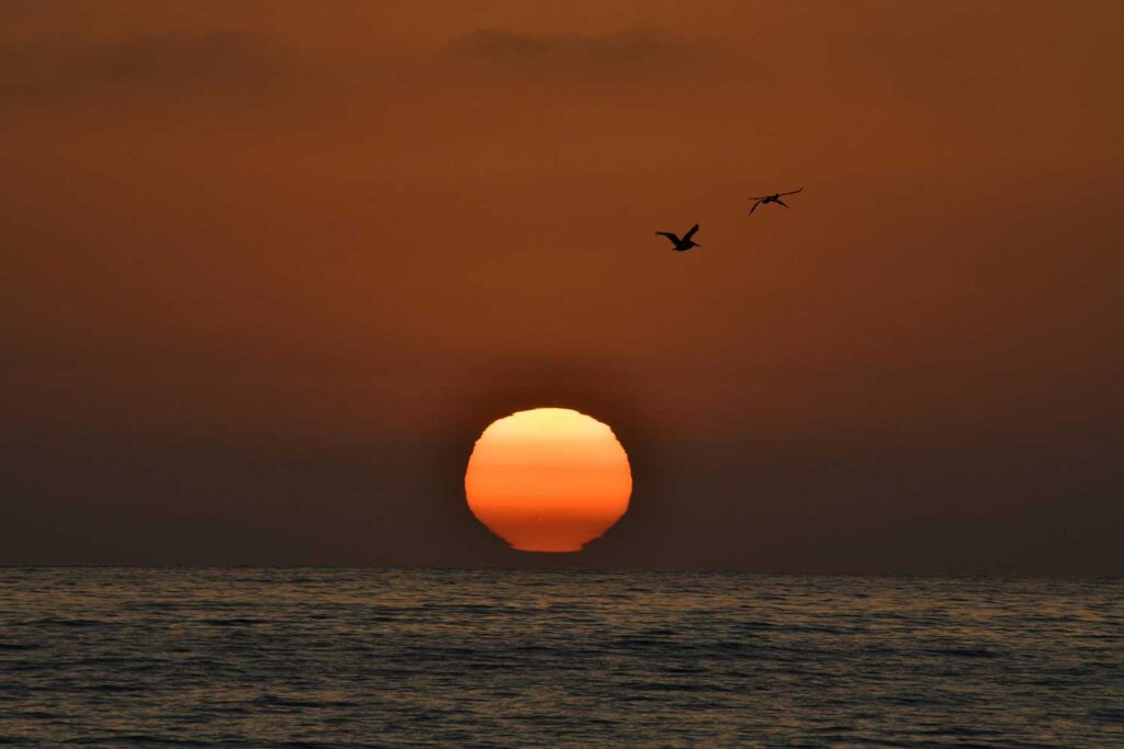 Fishing Road Trip – Best Spots on the Gulf Coast