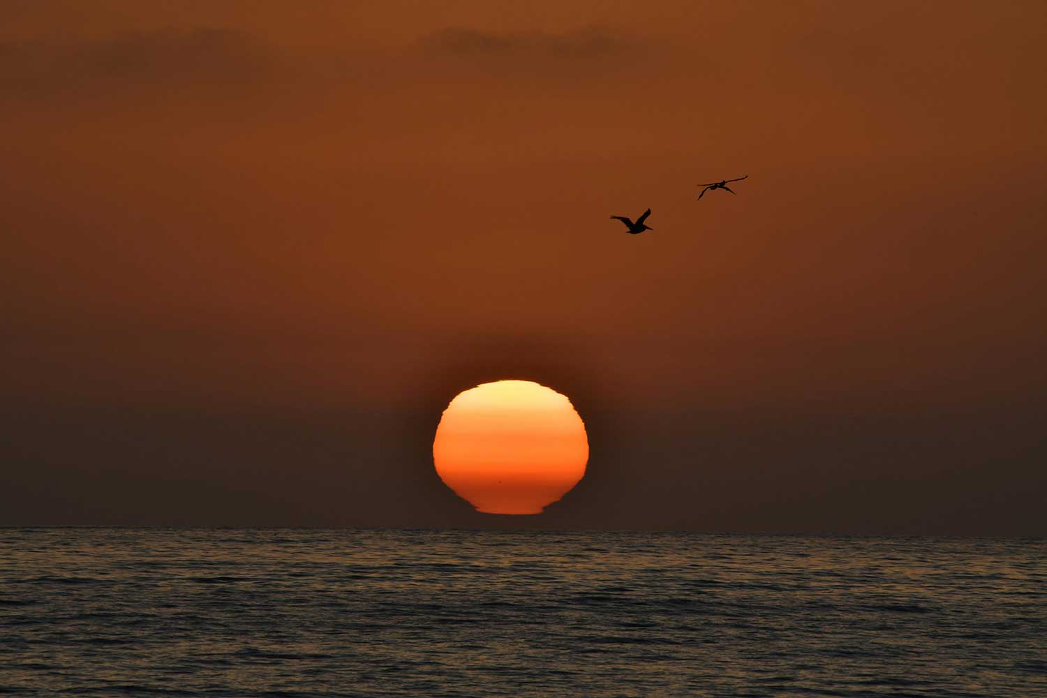 Fishing Road Trip – Best Spots on the Gulf Coast